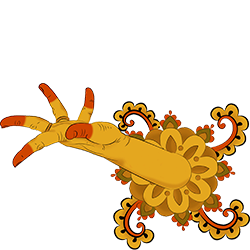 Lisa Pellegrini danza indiana kathak